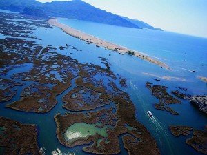 Dalyan Plajı