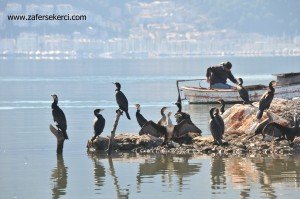 Fethiye Kuş Cenneti