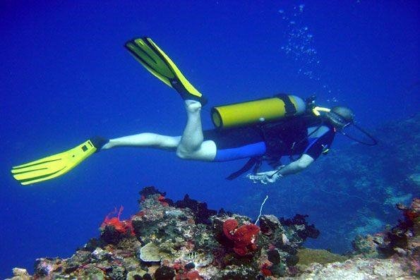 Dalış Turizminde Fethiye'nin Önemi